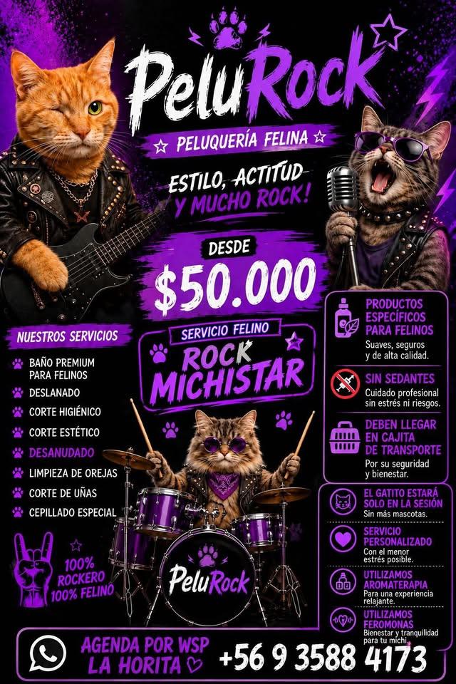 Servicios de deslanado PeluRock para perros XL