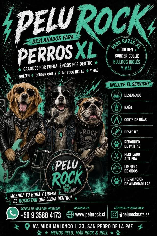 Tabla de valores de los servicios PeluRock